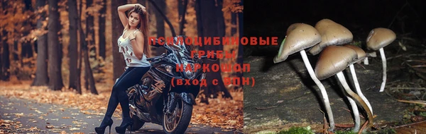 метамфетамин Волоколамск