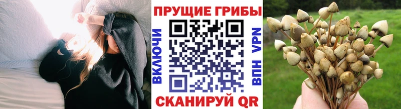 Псилоцибиновые грибы ЛСД Николаевск